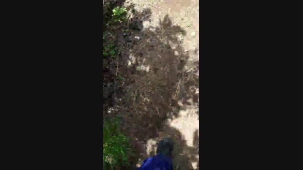 il_sogno17  25-05-2023 Recorded Video skinny