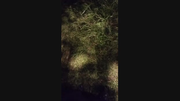 Chocolatespzn2  25-05-2023 Recorded Video orgasm