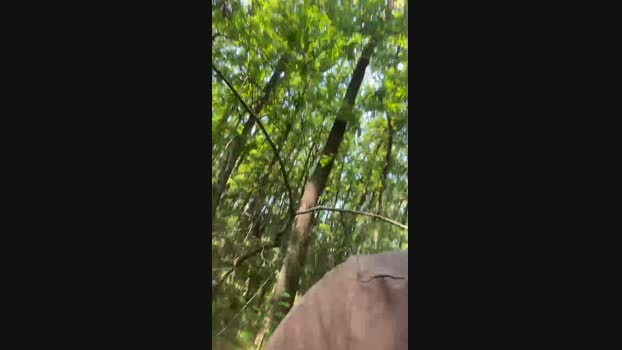 Jhin26  26-05-2023 Recorded Video Ass