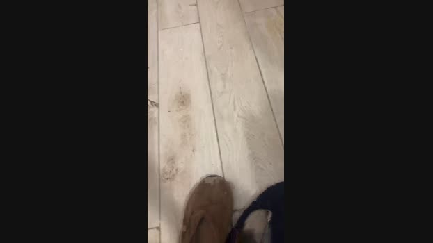 ericperez5  26-05-2023 Recorded Video beauty