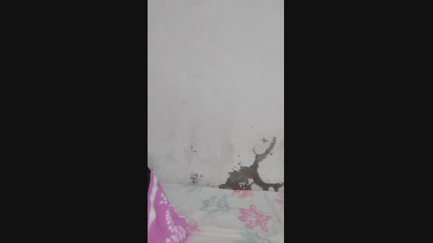 fabianoo2  25-05-2023 Recorded Video ass