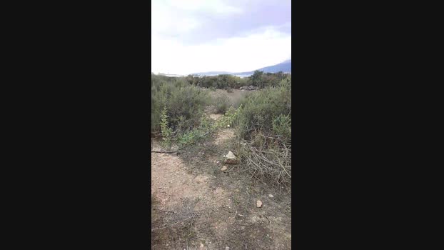jose30_xxx  25-05-2023 Recorded Video sexymale