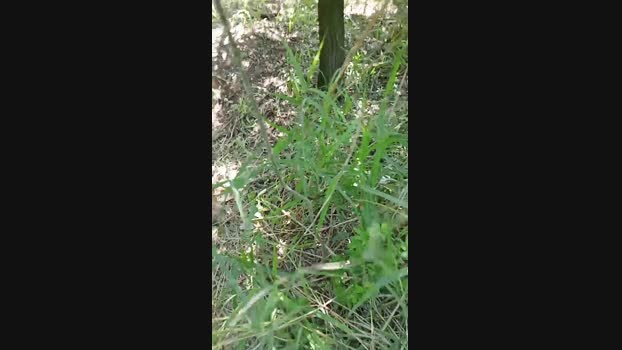 masterfilo74  26-05-2023 Recorded Video fuckher