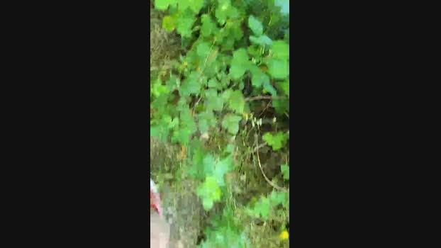 submarine3  26-05-2023 Recorded Video Ass