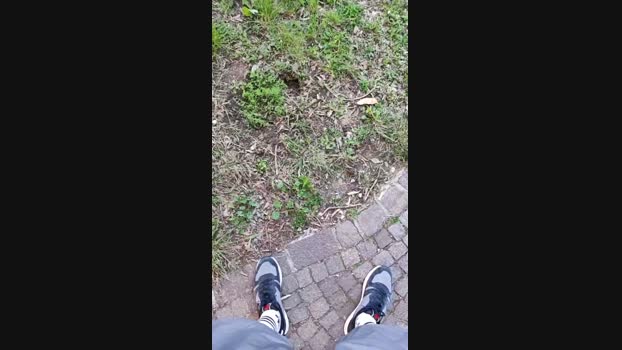 Looper72  26-05-2023 Recorded Video ass