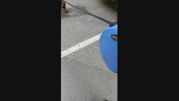 Lurio  27-05-2023 Recorded Video jerkoff