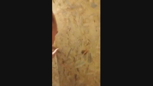 nacho20cmsexy  26-05-2023 Recorded Video suck