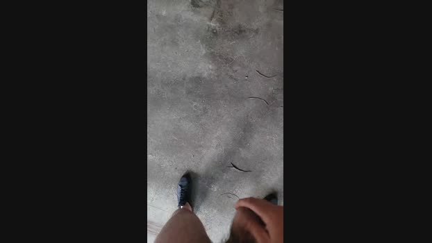 publicexib1  27-05-2023 Recorded Video skinny
