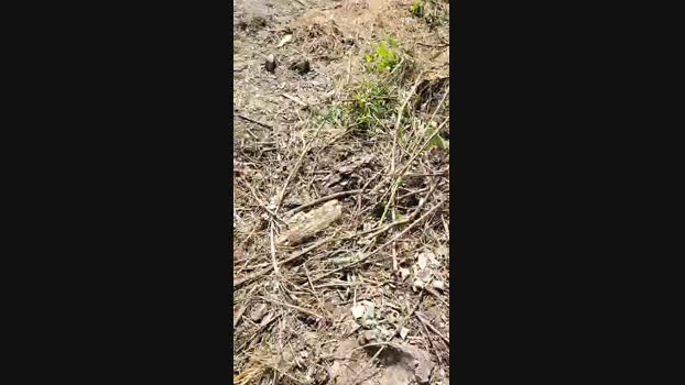 submarine3  27-05-2023 Recorded Video big