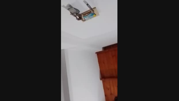 Valenlio_Por  27-05-2023 Recorded Video naughty