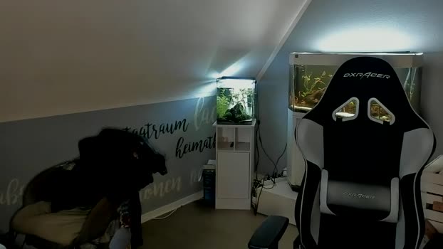 ronhill13  27-05-2023 Recorded Video ass