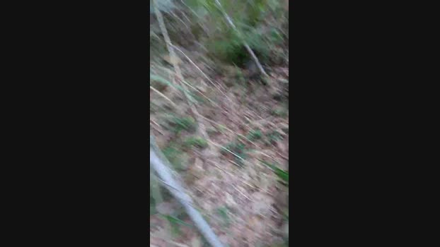 tarcton78  28-05-2023 Recorded Video dirty