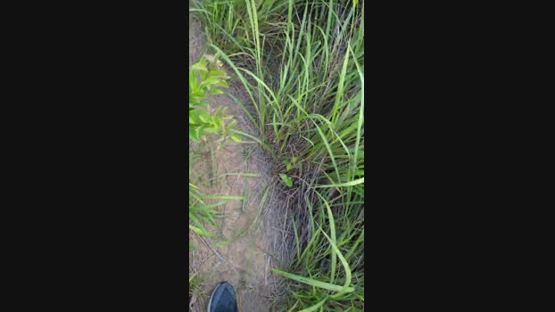 tarcton78  28-05-2023 Recorded Video sexymale