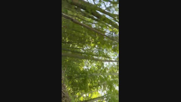 Devoteppslave  29-05-2023 Recorded Video big