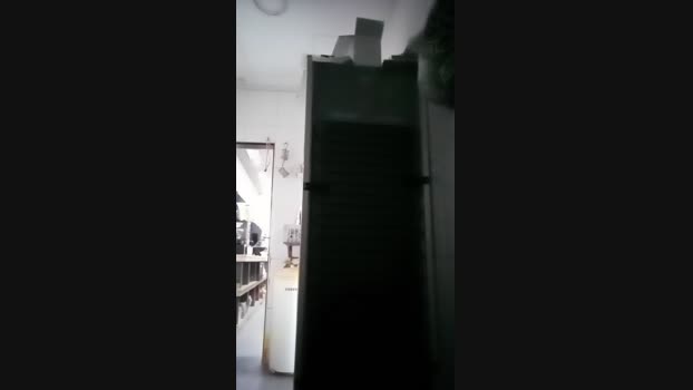 Lazzaro25  28-05-2023 Recorded Video natural