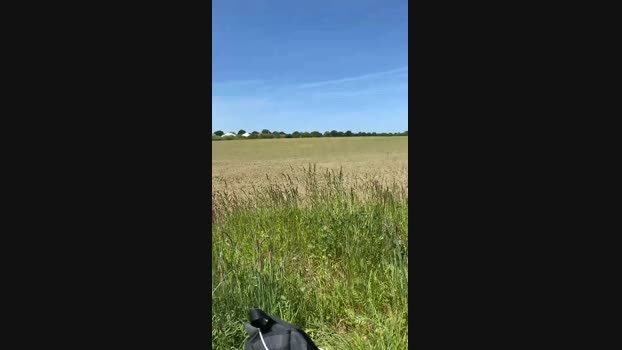 geilerjung69  29-05-2023 Recorded Video suckcock