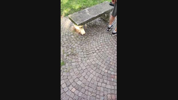 Looper72  29-05-2023 Recorded Video Ass