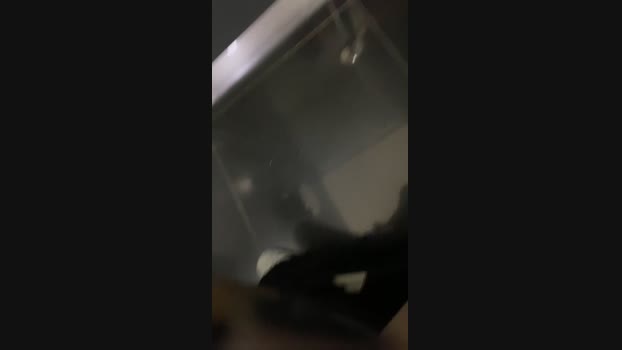 Oivine  29-05-2023 Recorded Video play