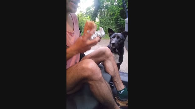 baby052  29-05-2023 Recorded Video big
