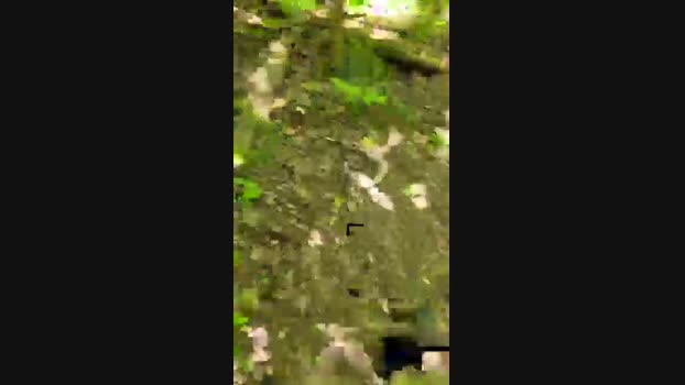 publicexib1  31-05-2023 Recorded Video analsex