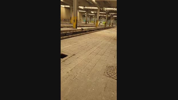 publicexib1  31-05-2023 Recorded Video sexykitty