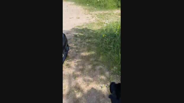 79erMicha  01-06-2023 Recorded Video XXX