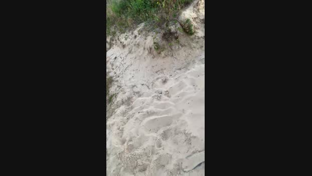 Gold1556  31-05-2023 Recorded Video skinny