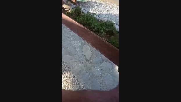marcoroma57  31-05-2023 Recorded Video orgasm