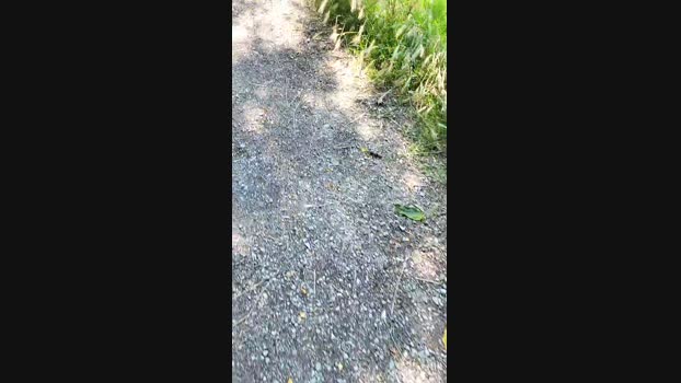 submarine3  01-06-2023 Recorded Video juicy