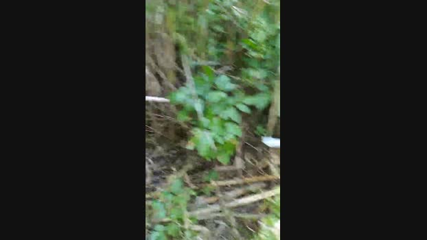 cm20pertutti  02-06-2023 Recorded Video fingers