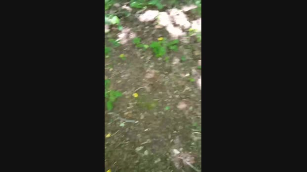 eric293_xxx  02-06-2023 Recorded Video Recorded