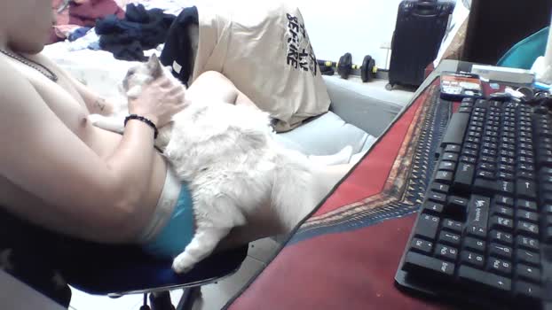 horn236754  02-06-2023 Recorded Video gay