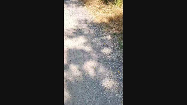 submarine3  02-06-2023 Recorded Video sex