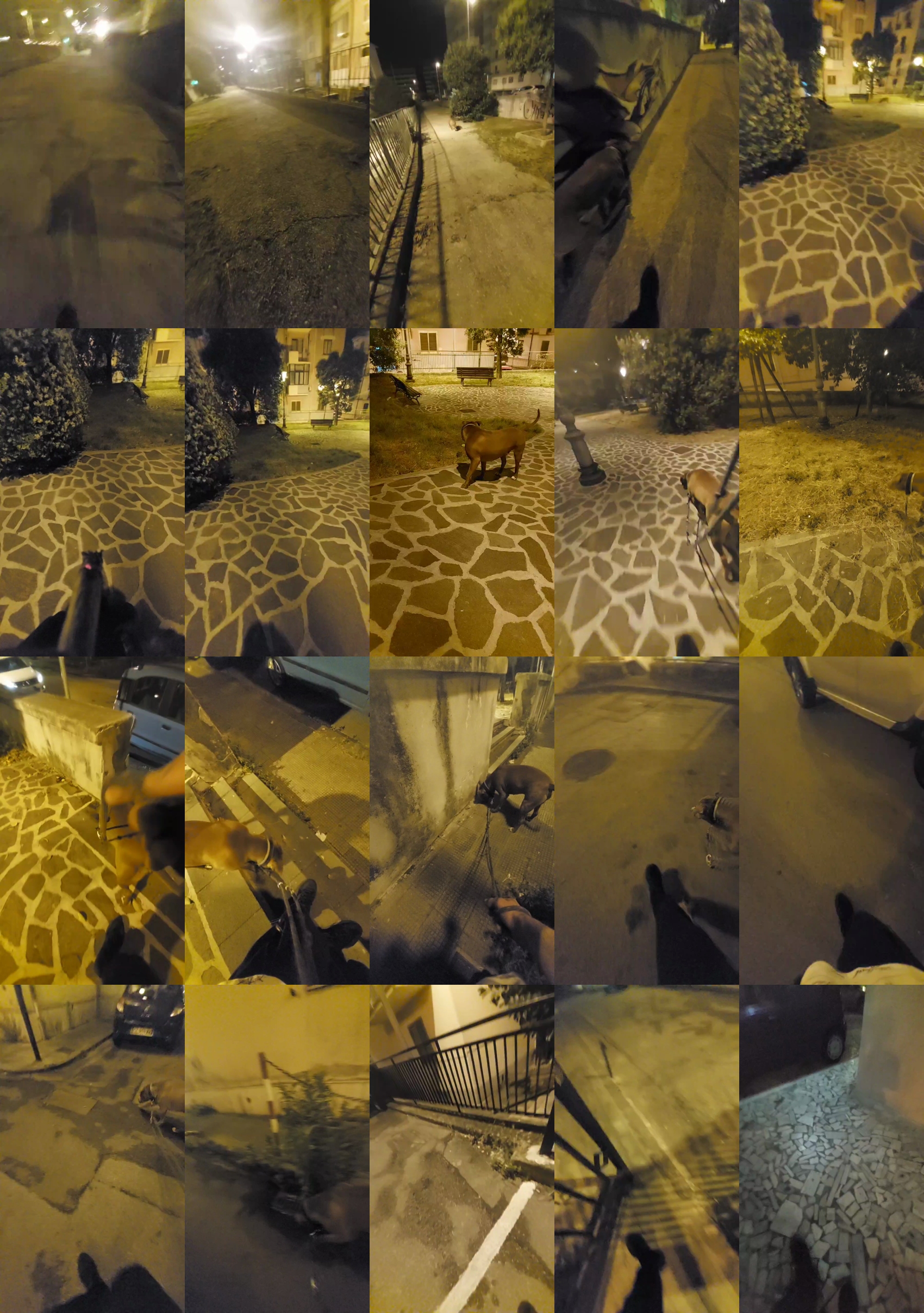 Lurio  02-06-2023 Recorded Video squirt