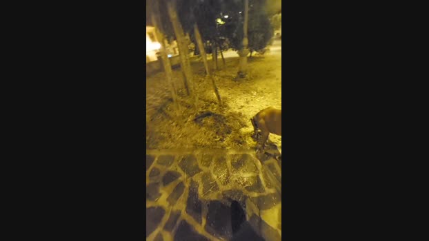 Lurio  02-06-2023 Recorded Video squirt