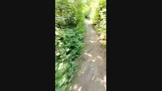 liegeois  03-06-2023 Recorded Video kink