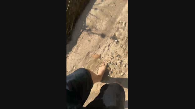 patatacaliente5  03-06-2023 Recorded Video juicy