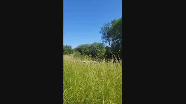 publicexib1  04-06-2023 Recorded Video Video
