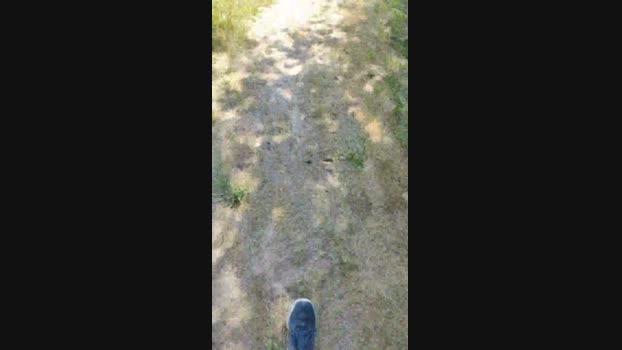 Bibo36cho  05-06-2023 Recorded Video beauty