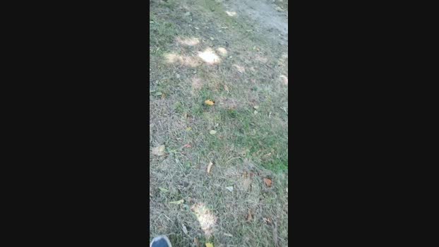 Bibo36cho  05-06-2023 Recorded Video orgasm