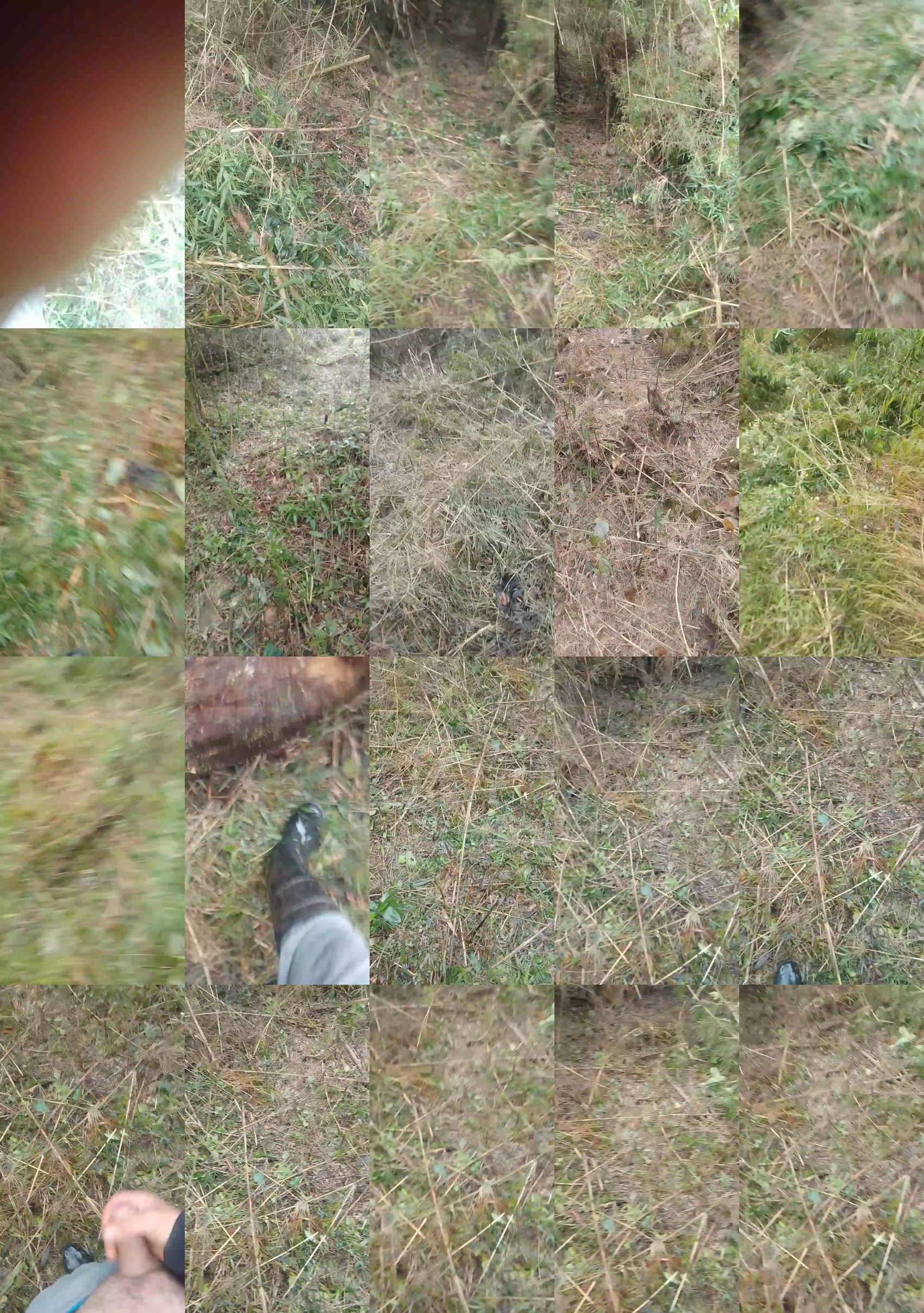 Bob13160  05-06-2023 Recorded Video ass