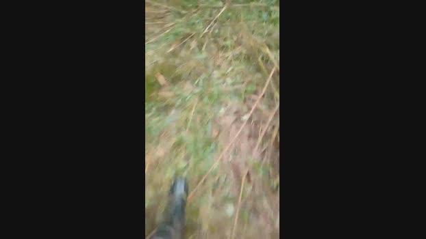 Bob13160  05-06-2023 Recorded Video ass