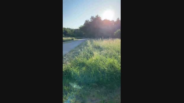 ichEnzian76  04-06-2023 Recorded Video bigtoys