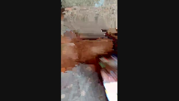 mulekagem4  04-06-2023 Recorded Video bigballs