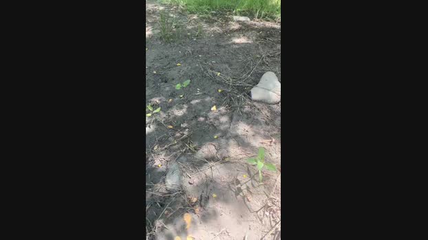 Lucifer6602  06-06-2023 Recorded Video love