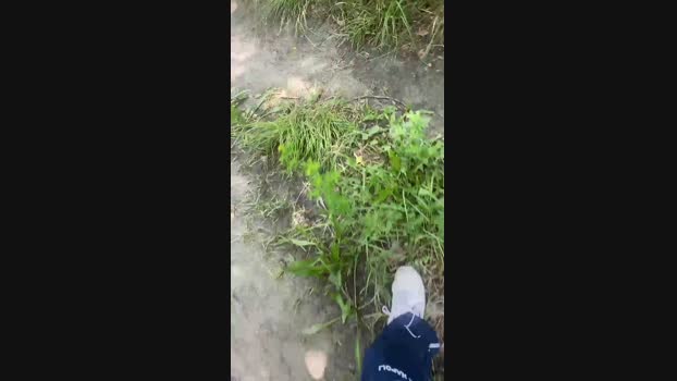 Lucifer6602  06-06-2023 Recorded Video jerking