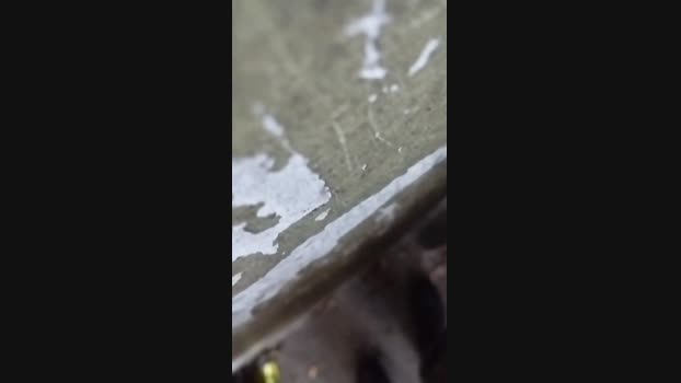 Lopeeee  06-06-2023 Recorded Video amateur