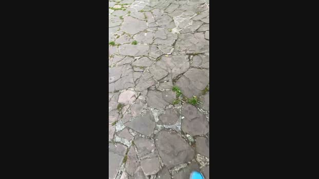 despacitofonsi  06-06-2023 Recorded Video Pretty