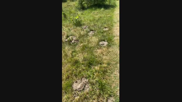 geilerjung69  07-06-2023 Recorded Video hardcock