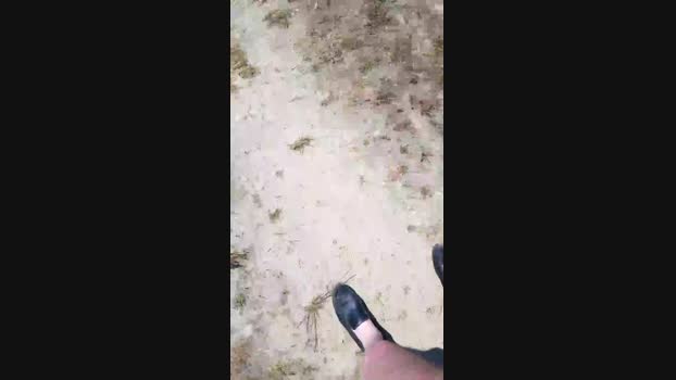 elblover  08-06-2023 Recorded Video toy